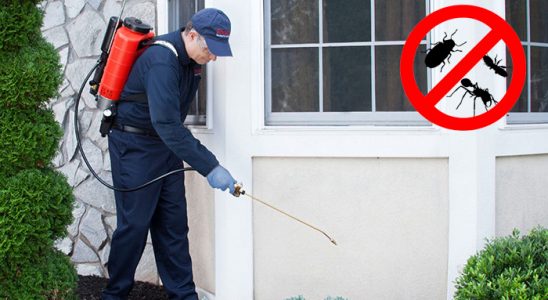 Marmaraereğlisi Hamam Böceği İlaçlama böcek ilaçlama ve haşere kontrolü — ilaclama-tr.com